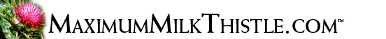Maximum Milk Thistle Home