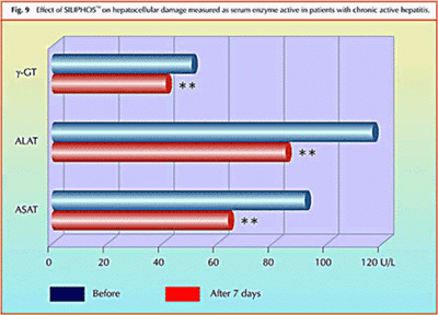 Liver Enzymes Chart